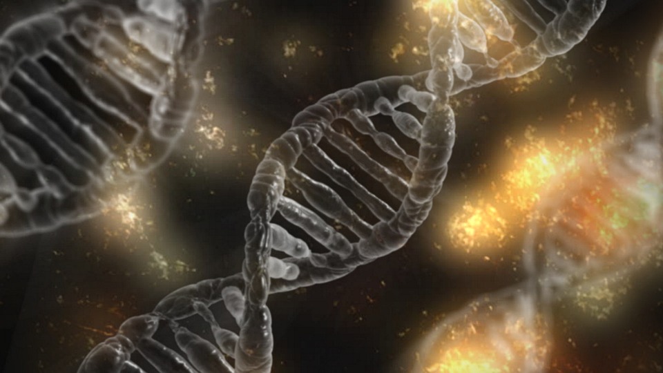 2.3 DNA, Heredity, and Drug Resistance