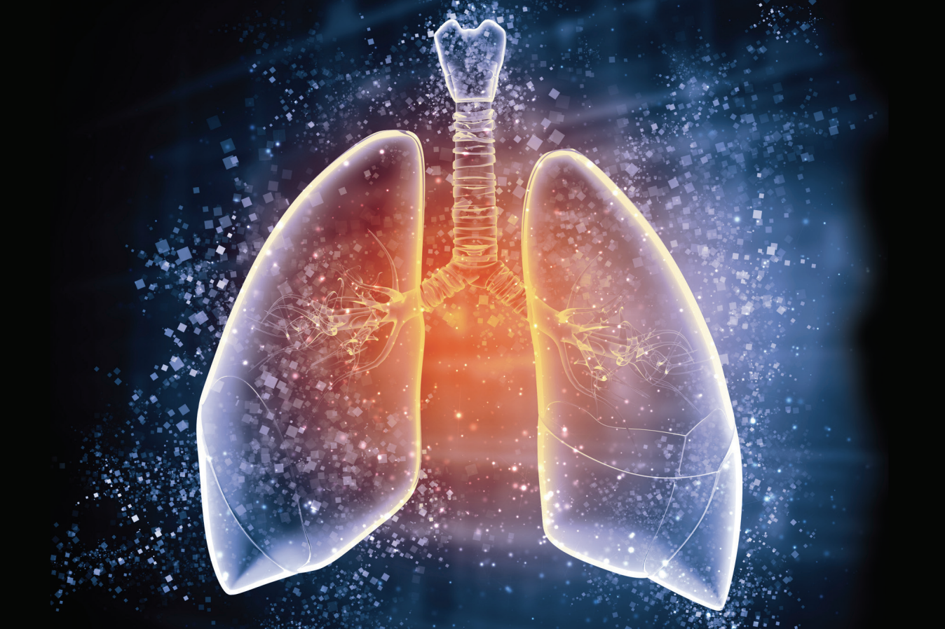 2.2 Respiratory Health – AU